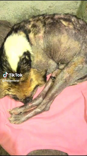 5 KaOCDvJEY6CLrX.jpg