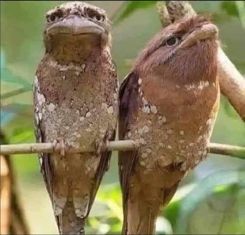 Screenshot ٢٠٢٥٠٤١٩ ٢١٤٩٣٥.jpg