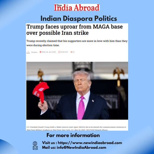 Indian Diaspora Politics.png