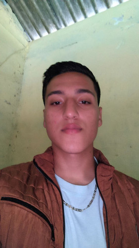 file 11577.jpg