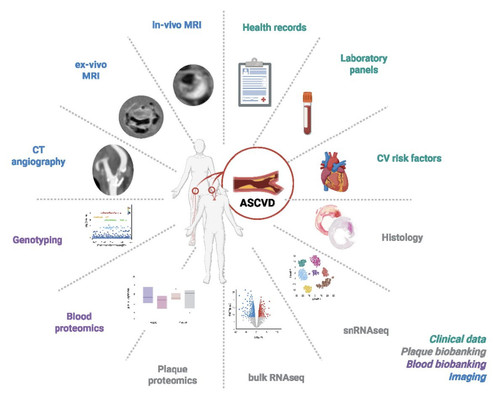 GtwLCGgX0AAUFZg.jpg