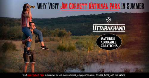 Why Visit Jim Corbett National Park in Summer.jpg