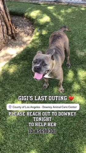 ATCWNjbPy3 A8z3V.jpg