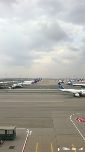 e99044614374.jpg