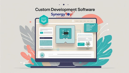 custom development software.jpg