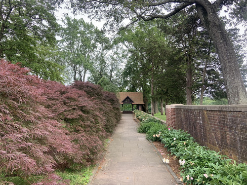 IMG 0846.jpg
