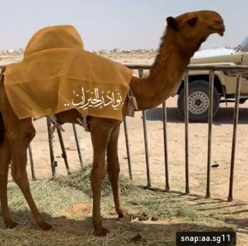 GtqdaWbXIAAb7rO.jpg