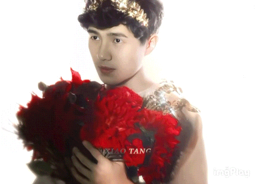 6a84863e bec0 4197 a60a 08ba514b75c8.gif