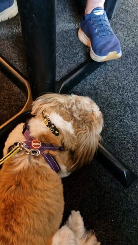 kBOXN gMkR NYfPq.jpg