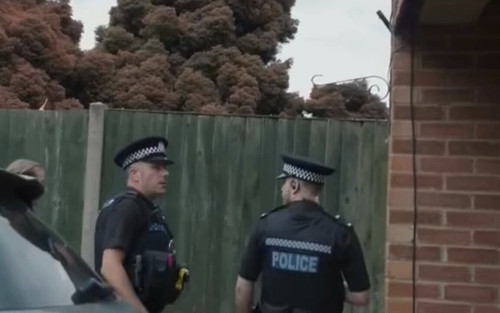 w8K6FwsyJ OsQMta.jpg