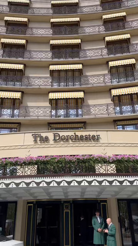 7TOJtodNsuSny ZH.jpg