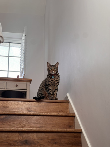 506044272 10161498054752894 3631882802898165999 n.jpg