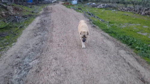 L3kqkt0UI Zvo3Sw.jpg