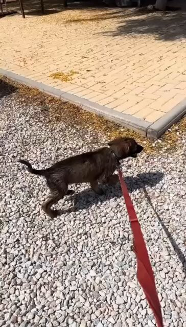 t8yU1mSxQhzPq 5y.jpg