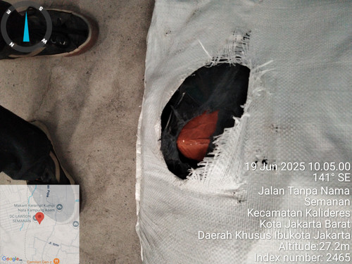 TimePhoto 20250619 100500.jpg