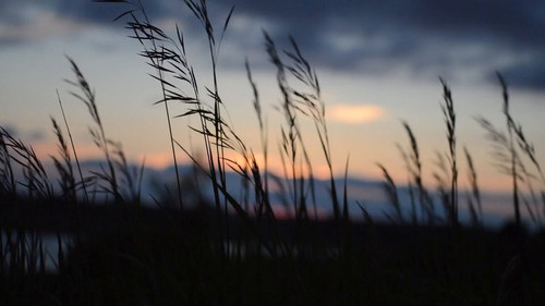 k5C lCG VQsFFr06.jpg