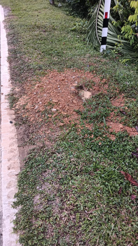 WhatsApp Image 2025 06 19 at 10.26.03 AM.jpg