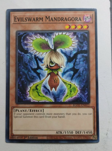 IMG 20250507 085734172.jpg