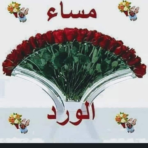 447641319 453473584115378 3848151677470799122 n.jpg