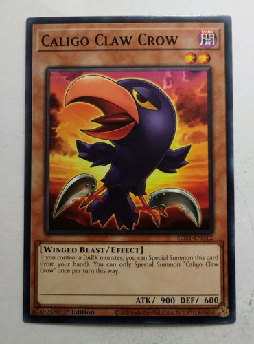 IMG 20250507 090309087.jpg