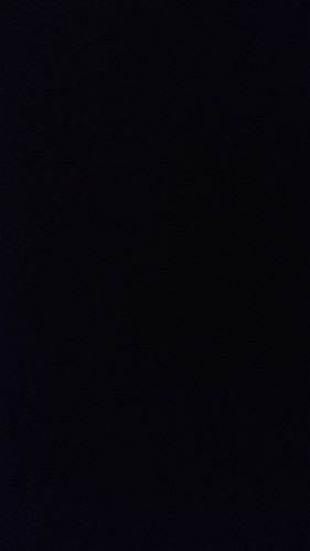 temp 1750279358843.jpg