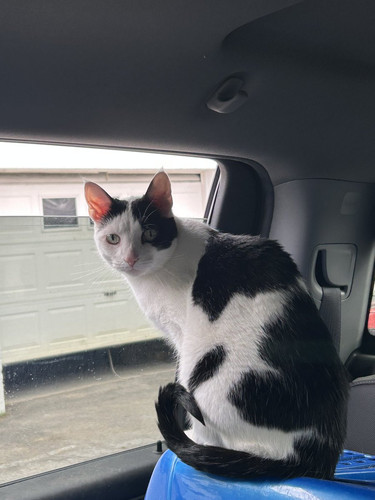 GtudE4 XIAAS7B2.jpg