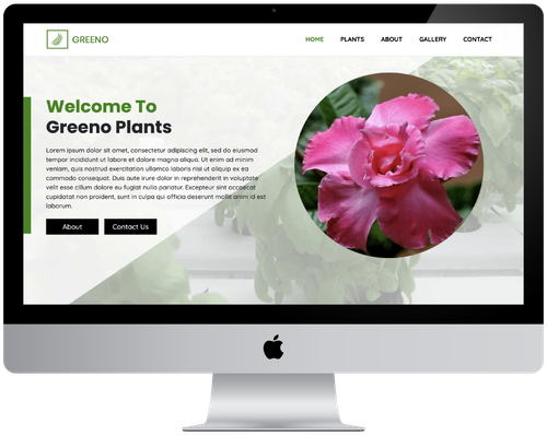 sample plants website.png