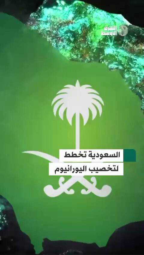 mKopMOyVypZoq4 b.jpg