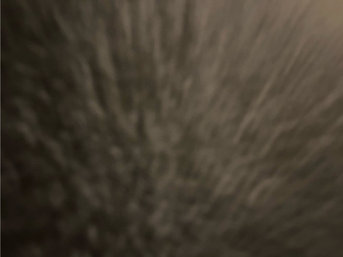 15e04e67efe7.jpg