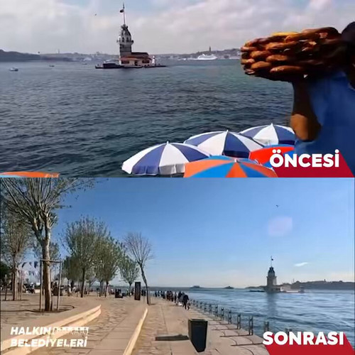 wMJ1cQhqM1Uhsves.jpg