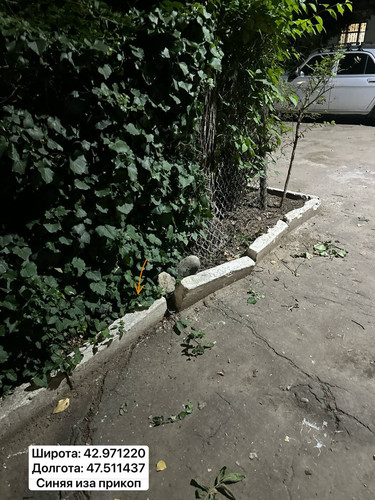 file 7113.jpg