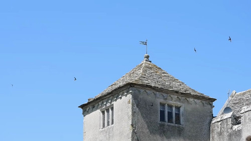 U7P1 nk452UN4mt8.jpg