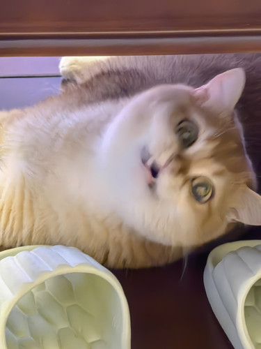 IMG 20250619 184620.jpg