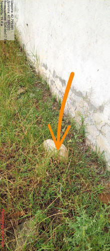 file 7147.jpg