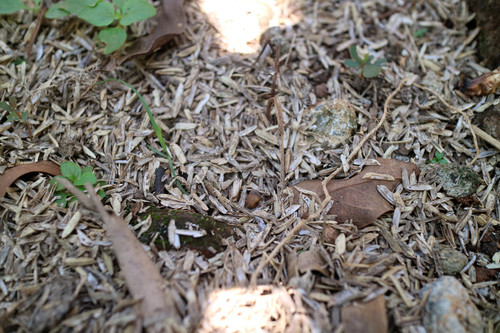 iStock 2191183953.jpg