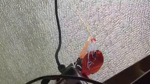 BCJbFTIoCzMEQ zV.jpg