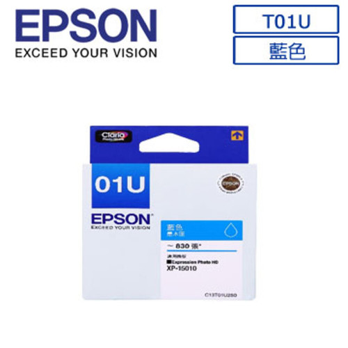 EPSON T01U250.jpg