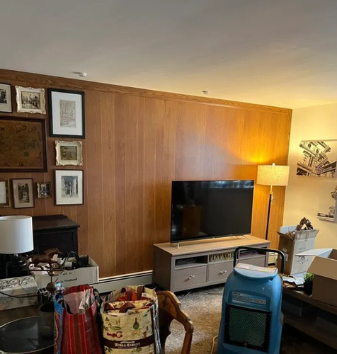 Pro Active Restoration.jpg