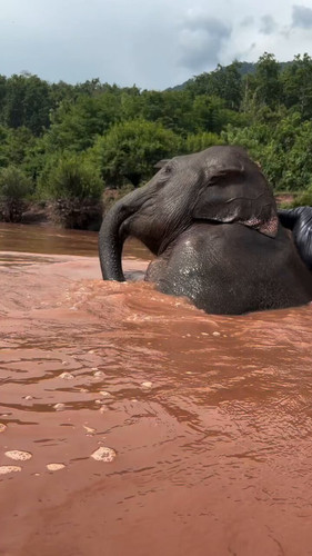 gUjIelCQN37s z7m.jpg