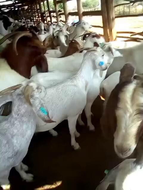UpnqoEuadsv1pdfA.jpg