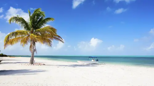 beach with water barbuda island antigua:16 9?wid=1440&hei=810.webp