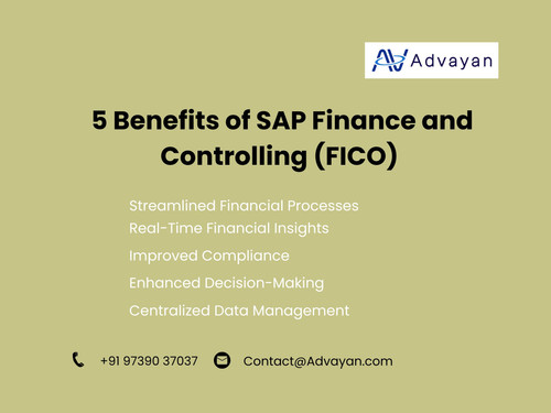 5 Benefits of SAP Finance and Controlling (FICO).jpg