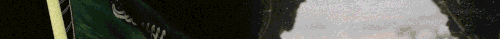 AZ2.gif