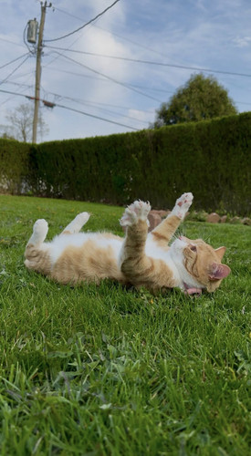 506995042 122117456948859660 2772046731652922059 n.jpg