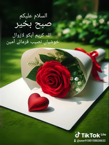 e40e8c4b 4149 4729 add0 82b8665ac602 0 watermark.jpg