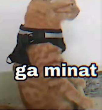 file.jpg