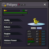pidgey 1