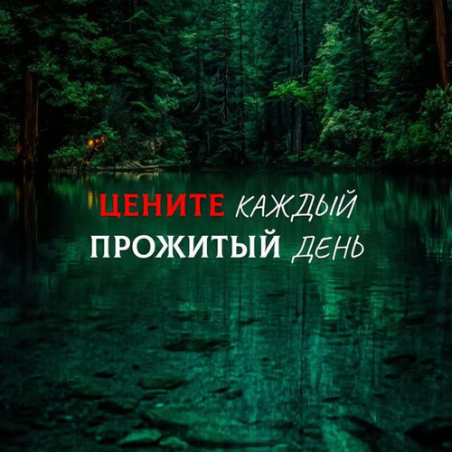 Serdyukovalexsandr.jpg