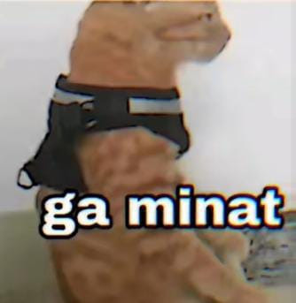 file.jpg