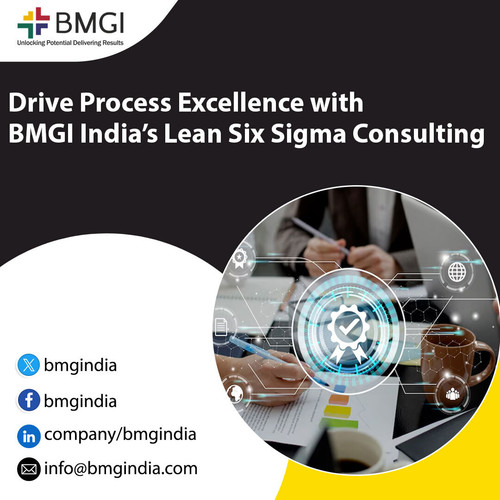 drive process excellence with bmgi india’s lean six sigma consulting.jpg